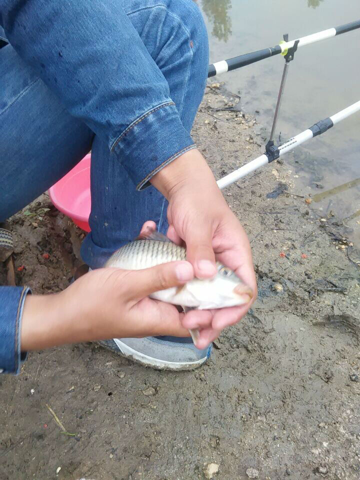 山东牟平3月钓鱼技巧(烟台牟平野钓水库地址大全) 山东牟平3月钓鱼技巧(烟台牟平野钓水库地址大全)