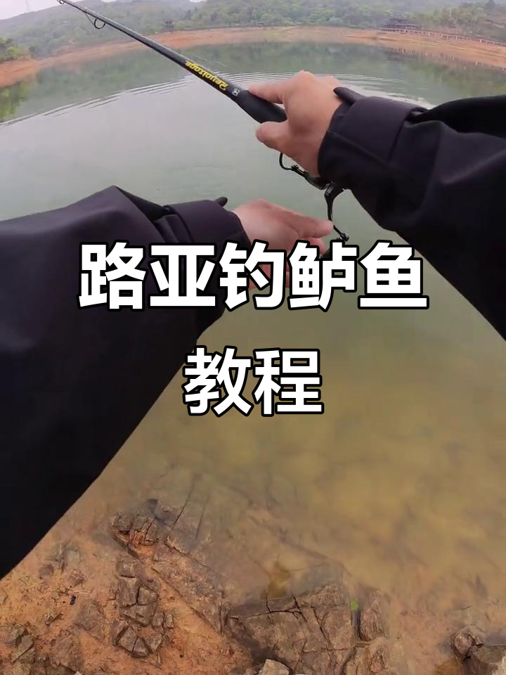 路亚钓鱼技巧6(路亚钓鱼技巧分享)