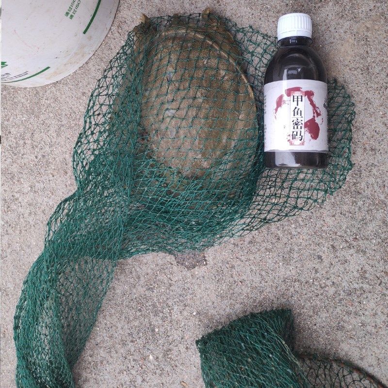 钓鳖饵料配制(钓鳖饵料配制比例) 钓鳖饵料配制(钓鳖饵料配制比例)