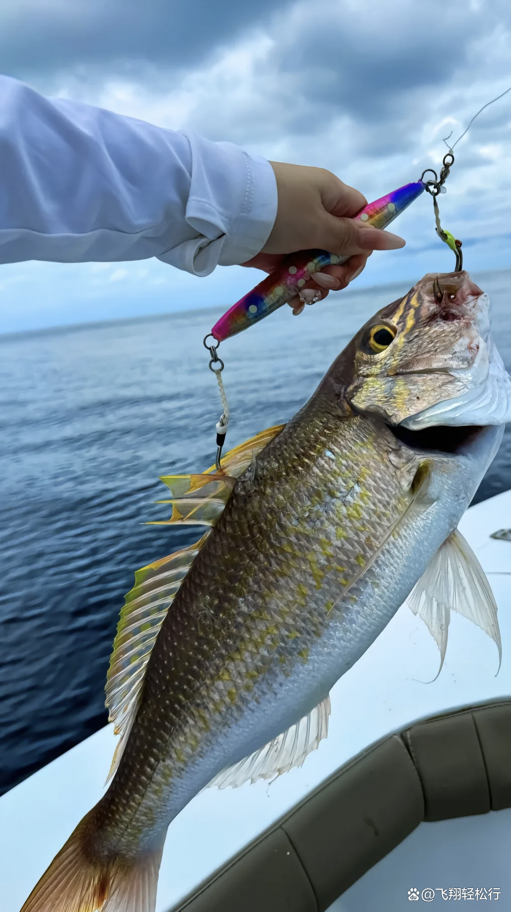 浙江舟山海钓季节(浙江舟山现在海钓能钓什么鱼) 浙江舟山海钓季节(浙江舟山现在海钓能钓什么鱼)