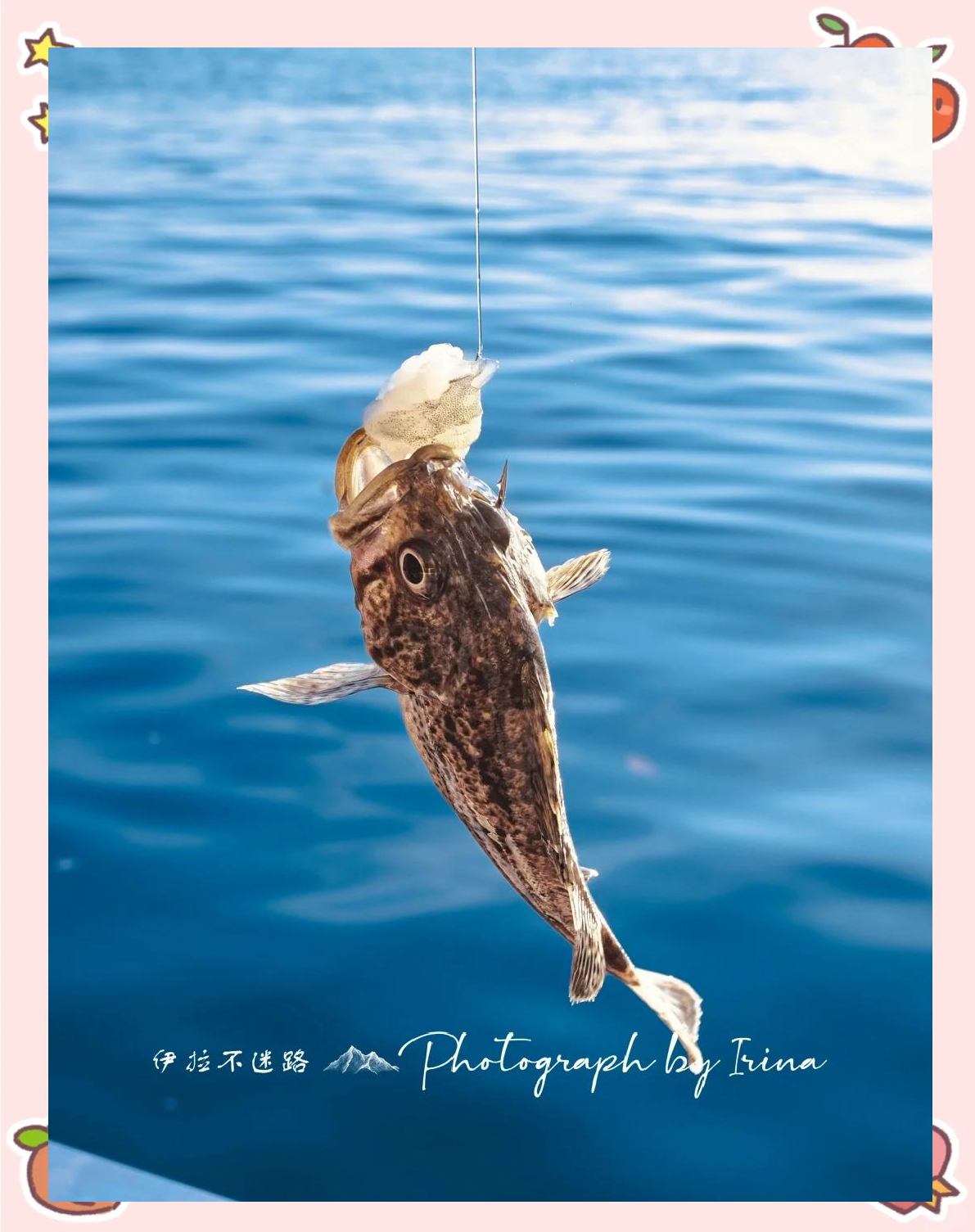 沿海近海能海钓吗(沿海近海能海钓吗现在)