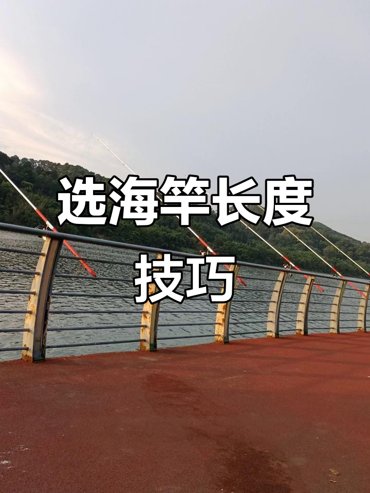 海竿底钓钓鲢鳙技巧(海竿钓鲢鳙钓底好还是钓浮好)