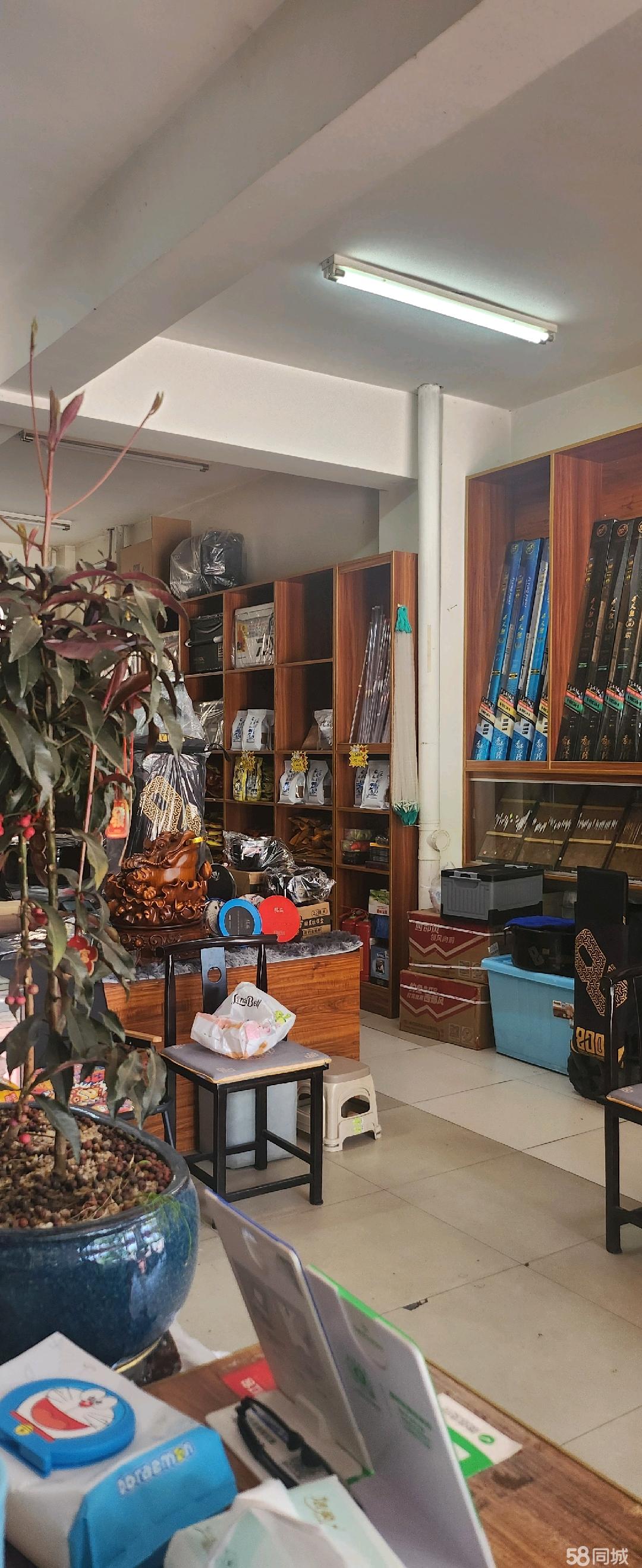 丹东多少家渔具店(丹东观赏鱼批发市场)