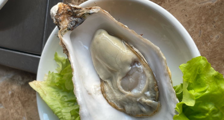 奉化牡蛎排海钓(牡蛎礁退化的危害) 奉化牡蛎排海钓(牡蛎礁退化的危害)