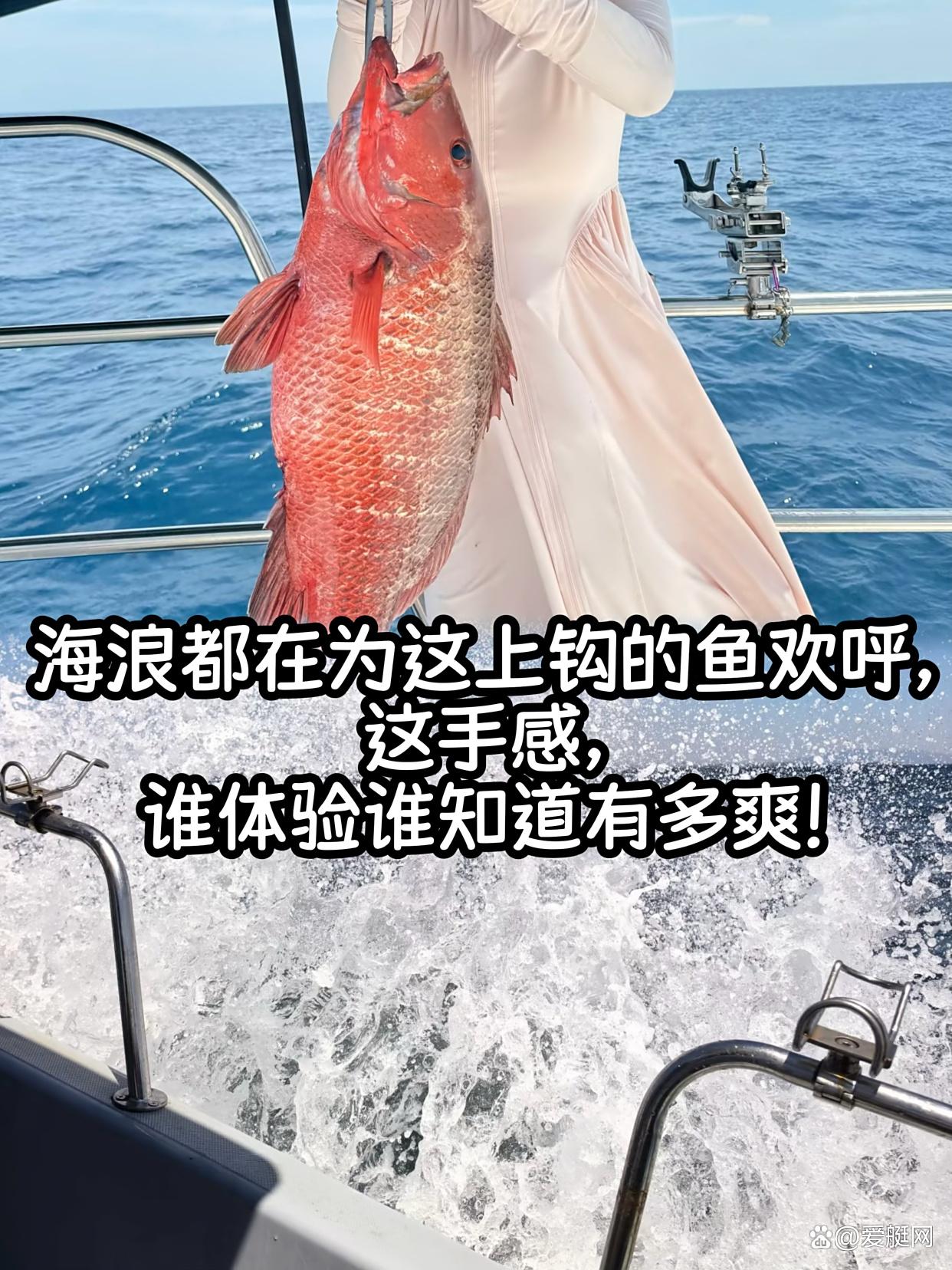 陵水码头海钓(陵水新村码头钓鱼) 陵水码头海钓(陵水新村码头钓鱼)