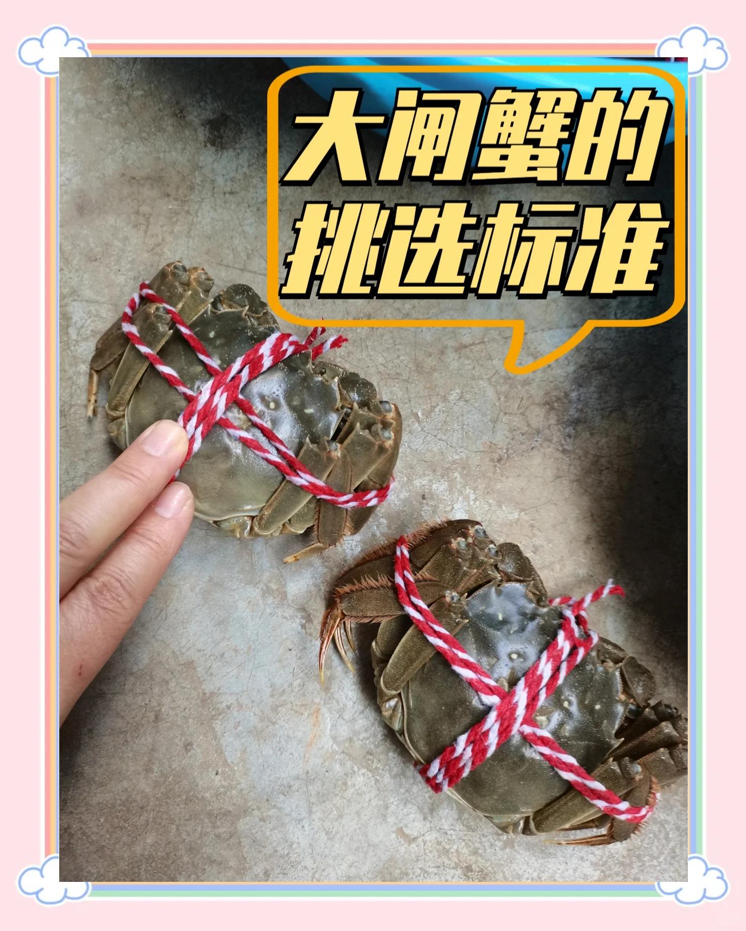 野钓螃蟹技巧(野钓螃蟹用什么饵)