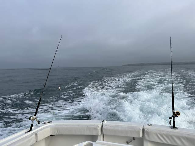 冬天沙滩可以海钓吗(冬季沙滩海钓用什么钓法)