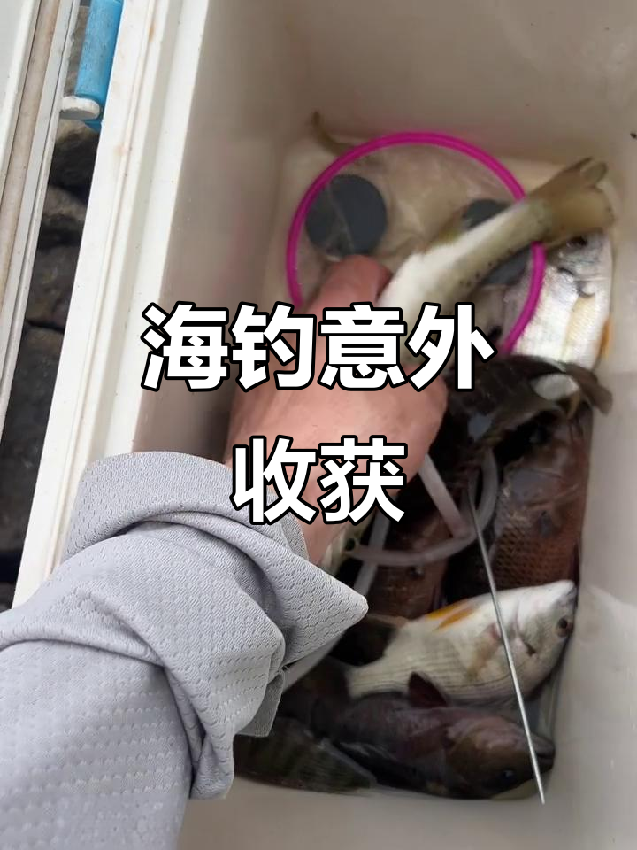 退潮海钓可以吗(退潮钓近还是钓远)