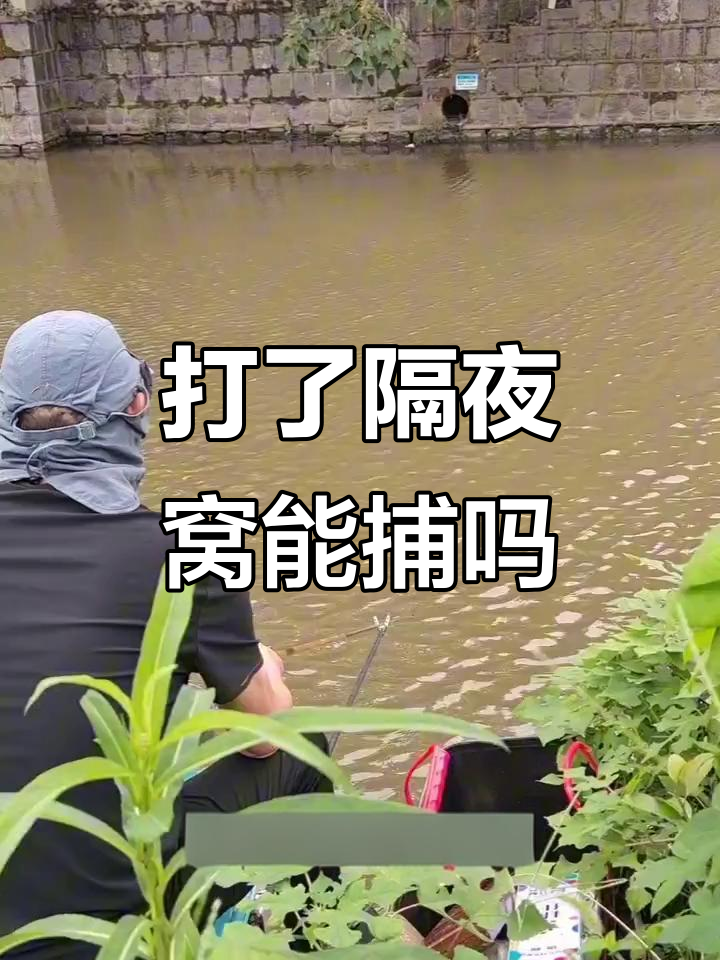 冬季钓鱼发窝技巧(冬季野钓打窝用什么饵料发窝快呢) 冬季钓鱼发窝技巧(冬季野钓打窝用什么饵料发窝快呢)