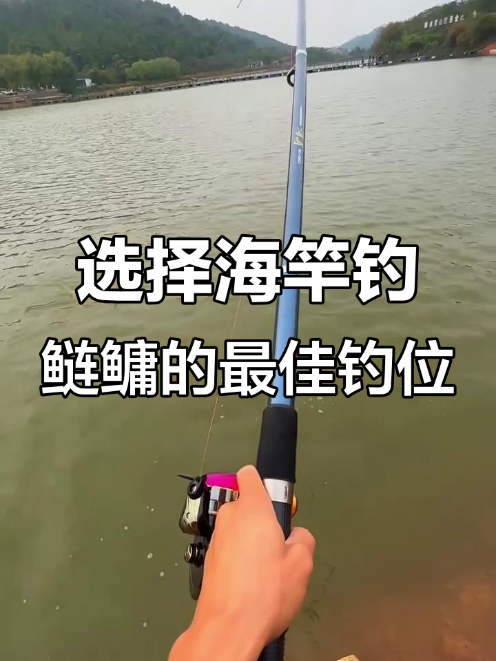 河里海杆钓鱼技巧(海杆怎样在河里钓到大鱼)