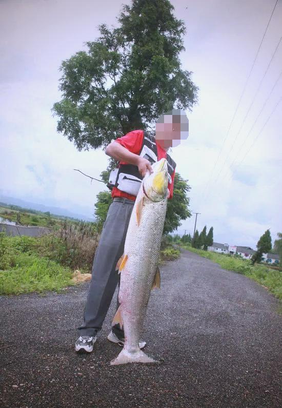 鳡鱼垂钓技巧视频的简单介绍