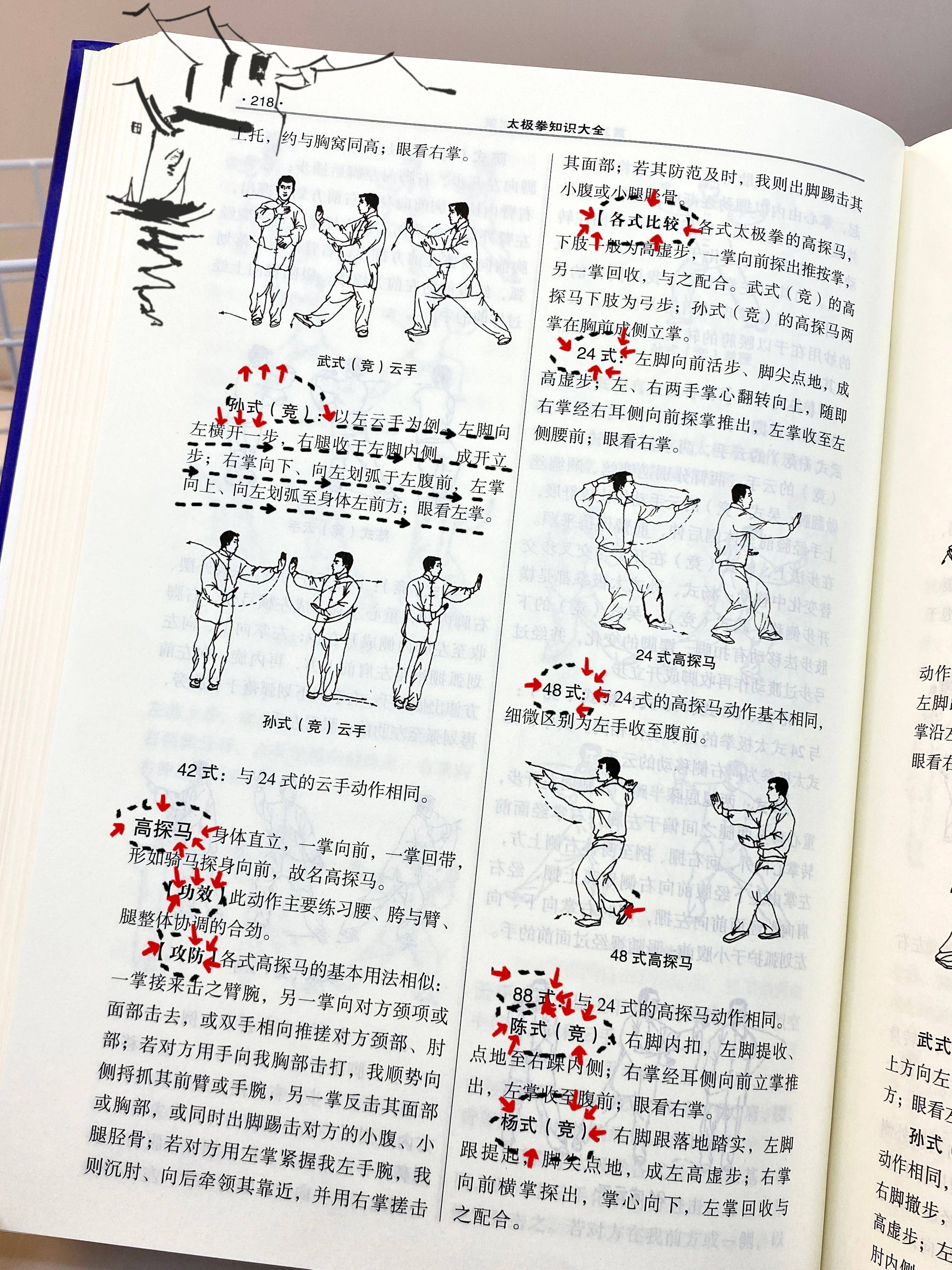 正确杨竿技巧(钓鱼杨竿动作视频) 正确杨竿技巧(钓鱼杨竿动作视频)