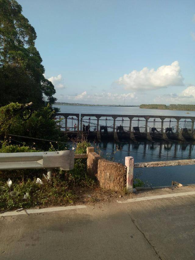 葵涌海钓群(深圳葵涌钓鱼场) 葵涌海钓群(深圳葵涌钓鱼场)