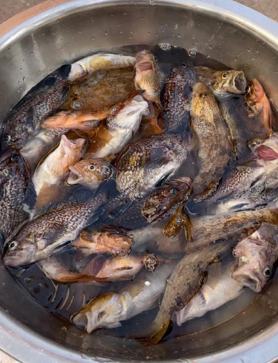 海钓益处(海钓的危害) 海钓益处(海钓的危害)