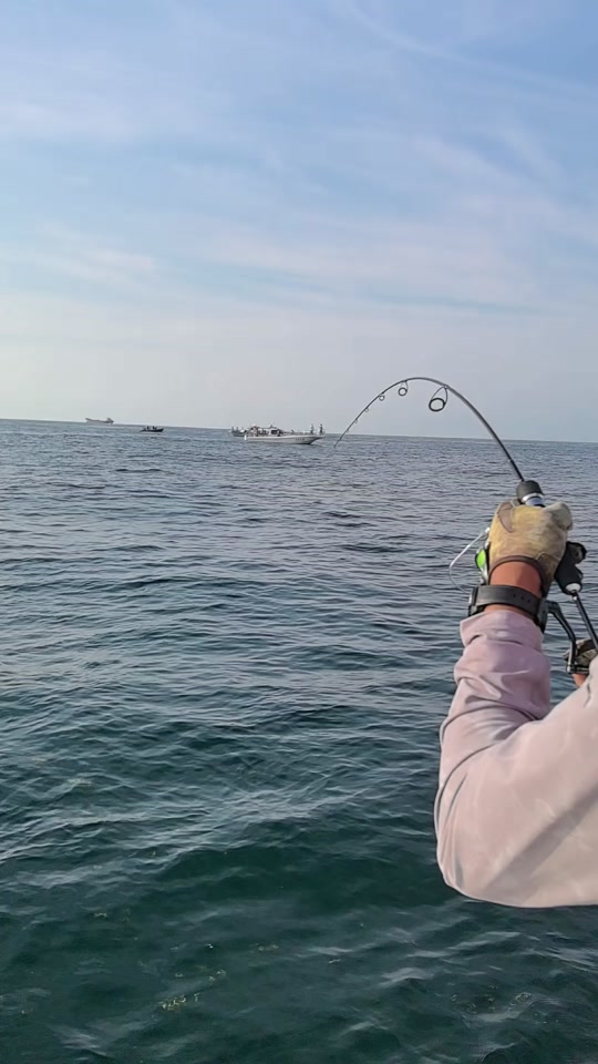 逍遥号海钓(逍遥船是什么意思)