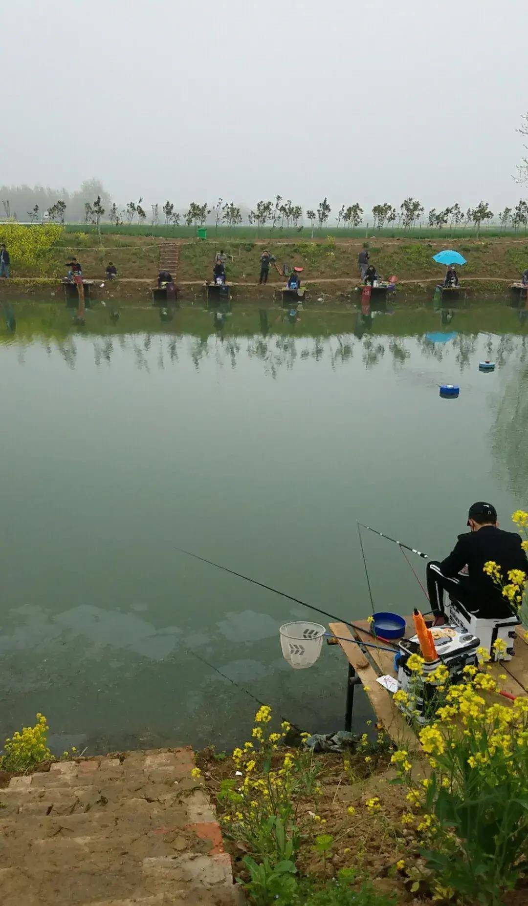 人工池塘钓鱼技巧(人工池塘钓鱼技巧视频)