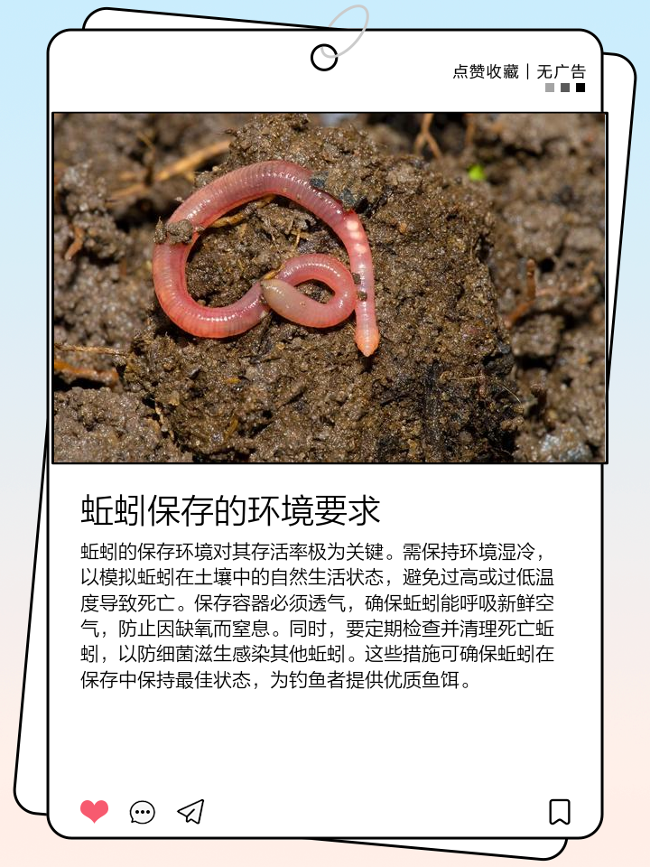 渔具店蚯蚓喂龟(蚯蚓喂乌龟需要剁碎吗)