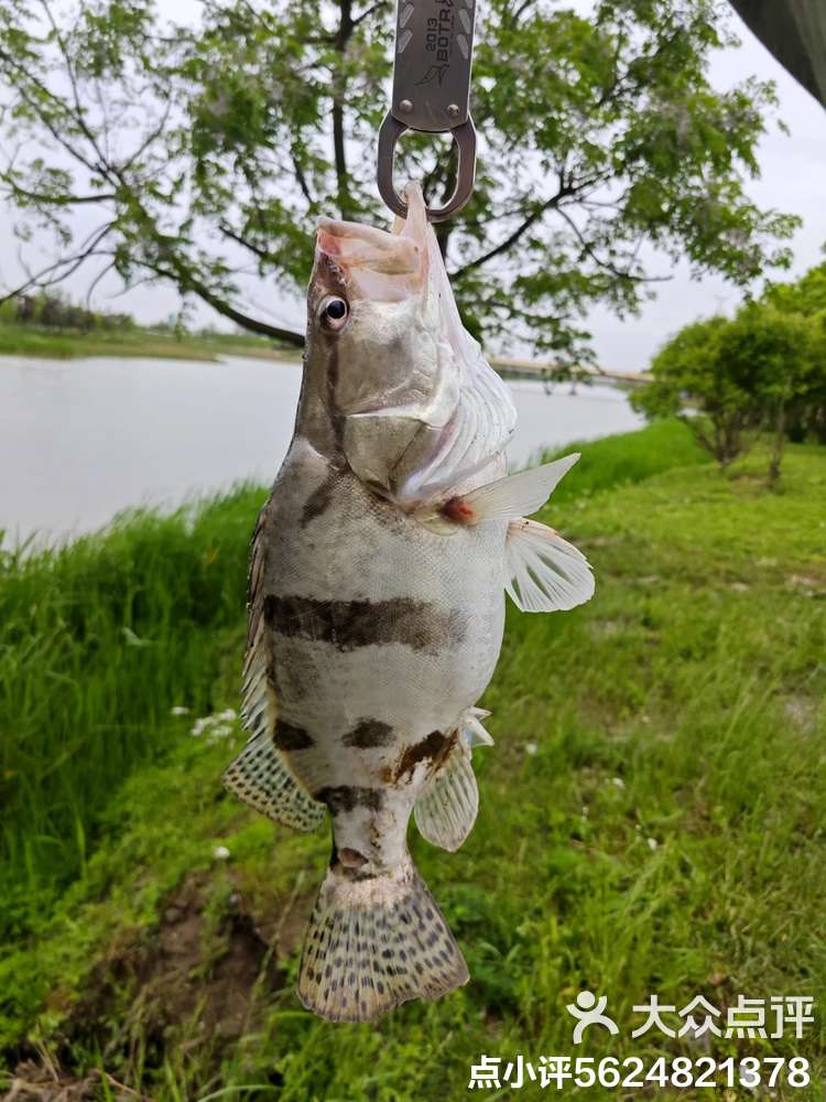 青浦大鱼路亚(上海浦东路亚钓场)
