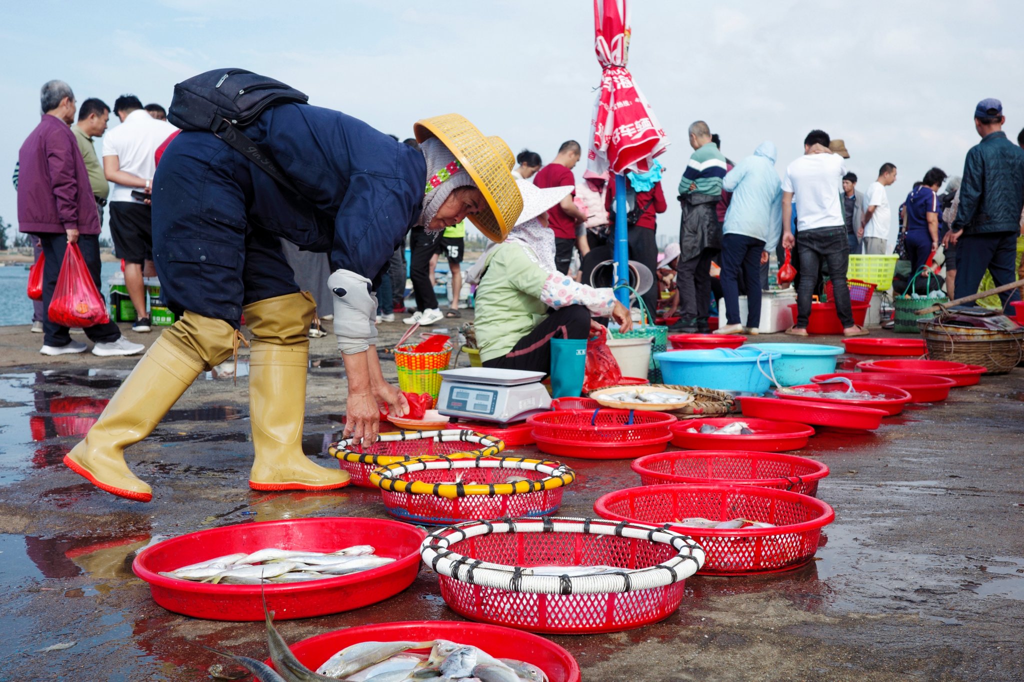 深圳富有渔具(深圳富有渔具批发市场)
