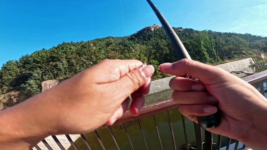 双宝渔具代理(双宝官网渔具查询)