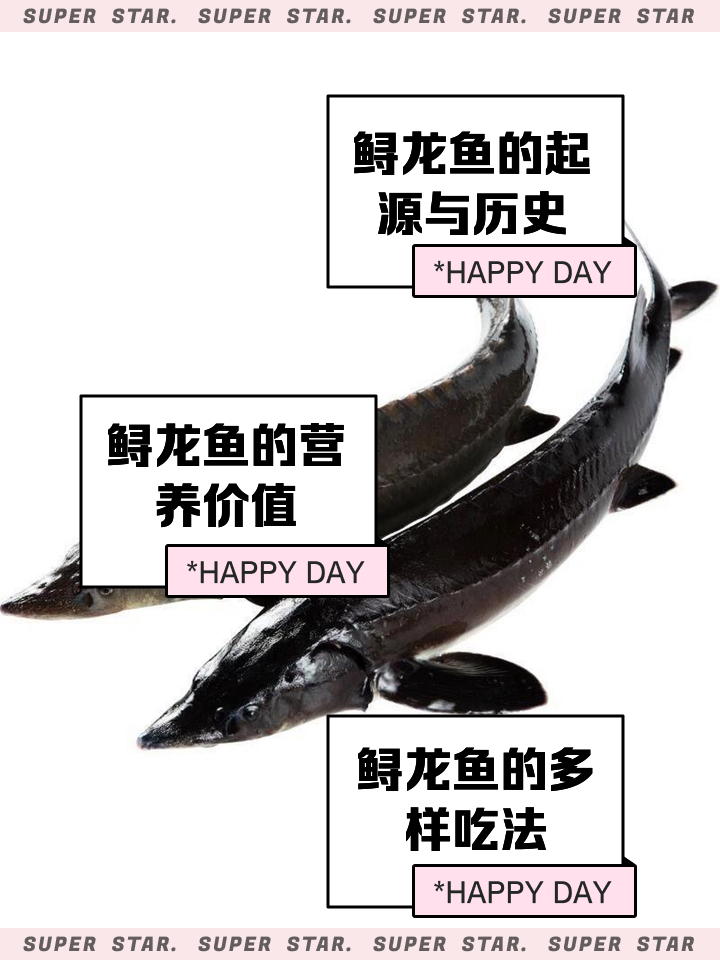 四海钓鱼鲟鱼(四海钓鱼鲟鱼图片)