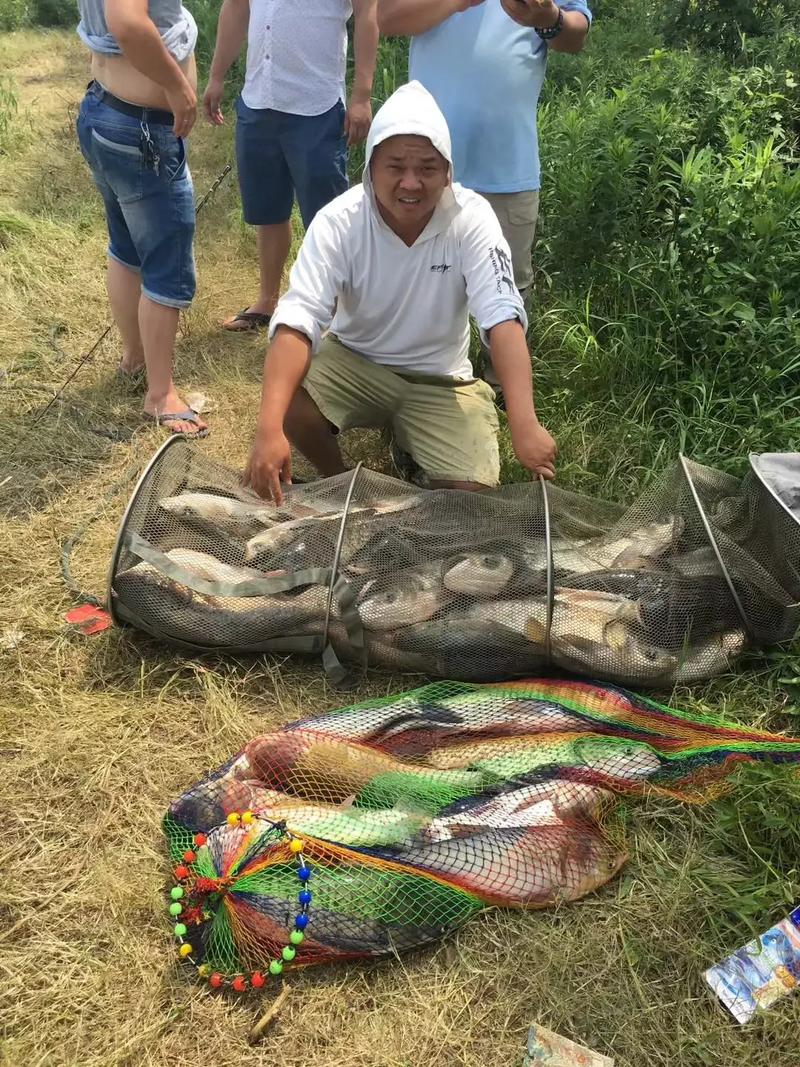 拉钓鲢鱼技巧(拉饵钓鲢鳙如何开饵)