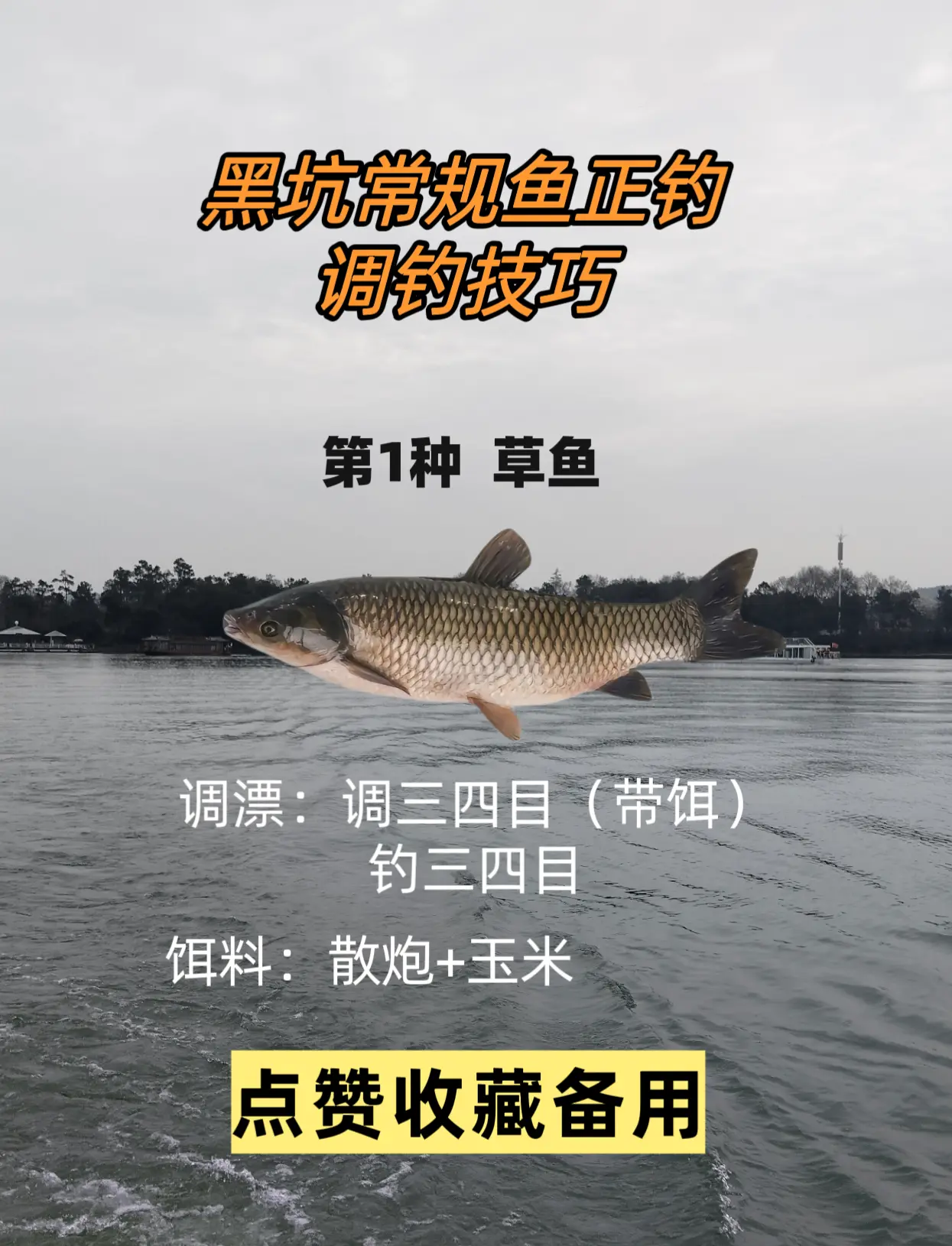 雨后钓黑坑技巧(雨后黑坑钓鲤鱼,合适吗)