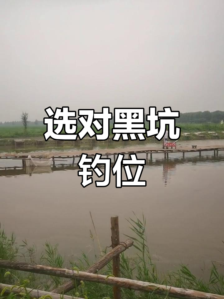 雨后钓黑坑技巧(雨后黑坑钓鲤鱼,合适吗)