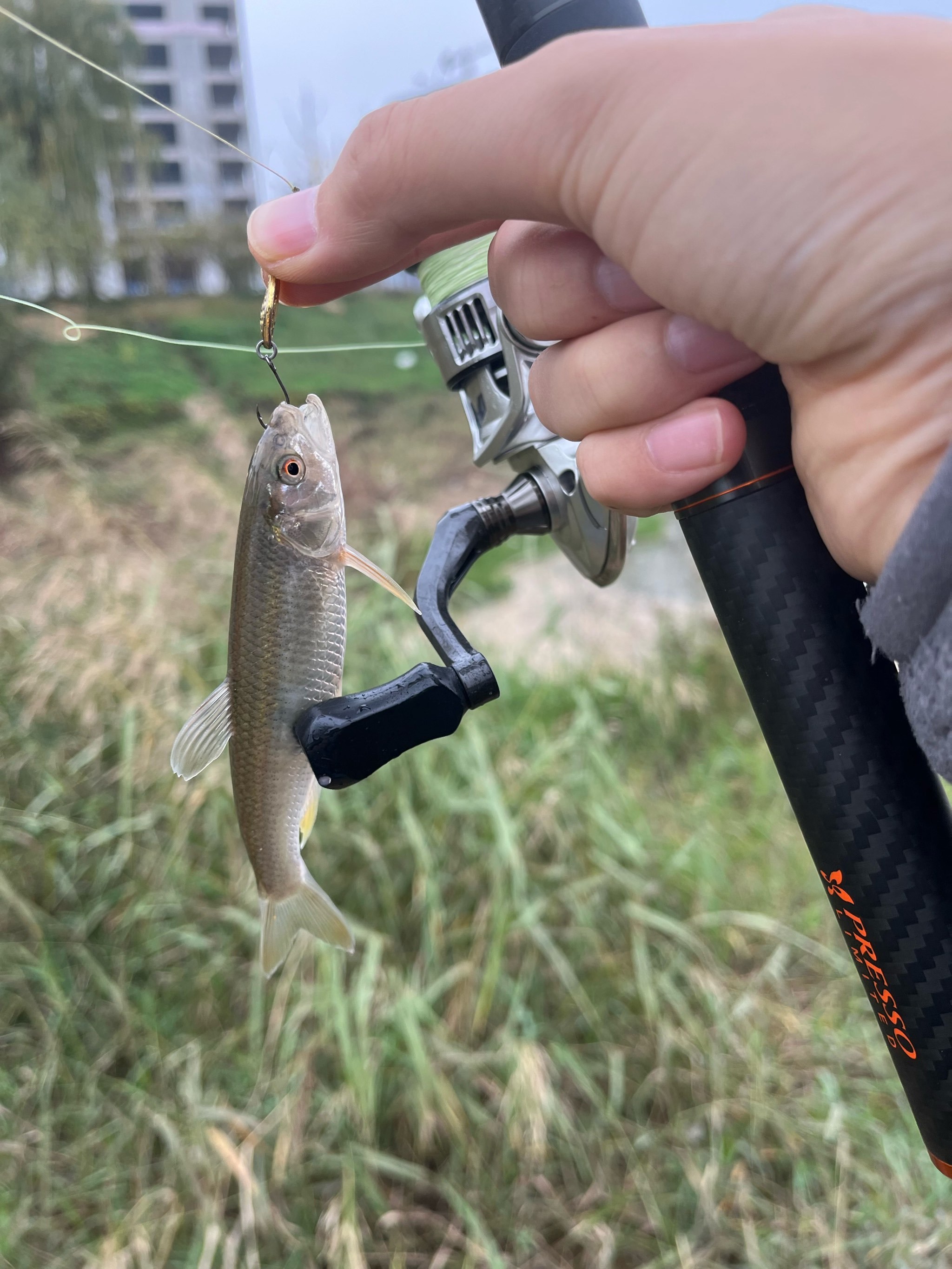 路亚微抛竿(路亚微物竿抛投技巧)