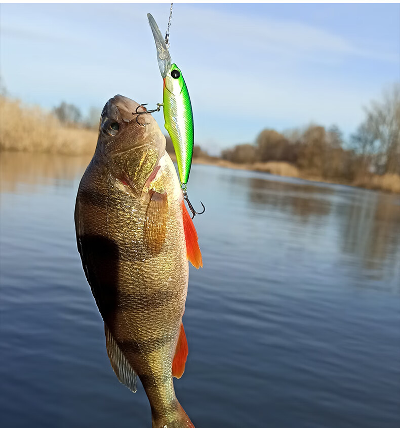 路亚悬浮饵(浮球路亚逗钓鲫鱼)