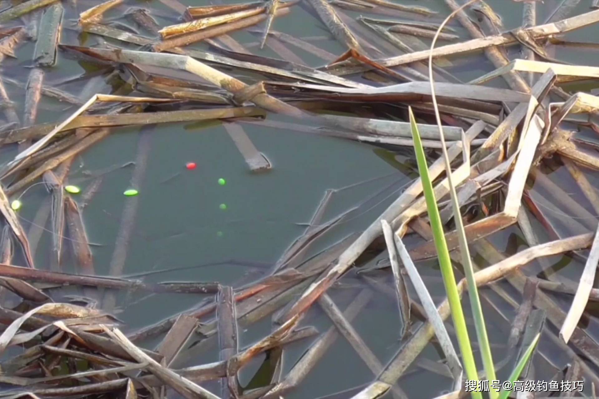 冬天池塘钓鲫鱼技巧(冬天池塘钓鱼钓深还是钓浅)