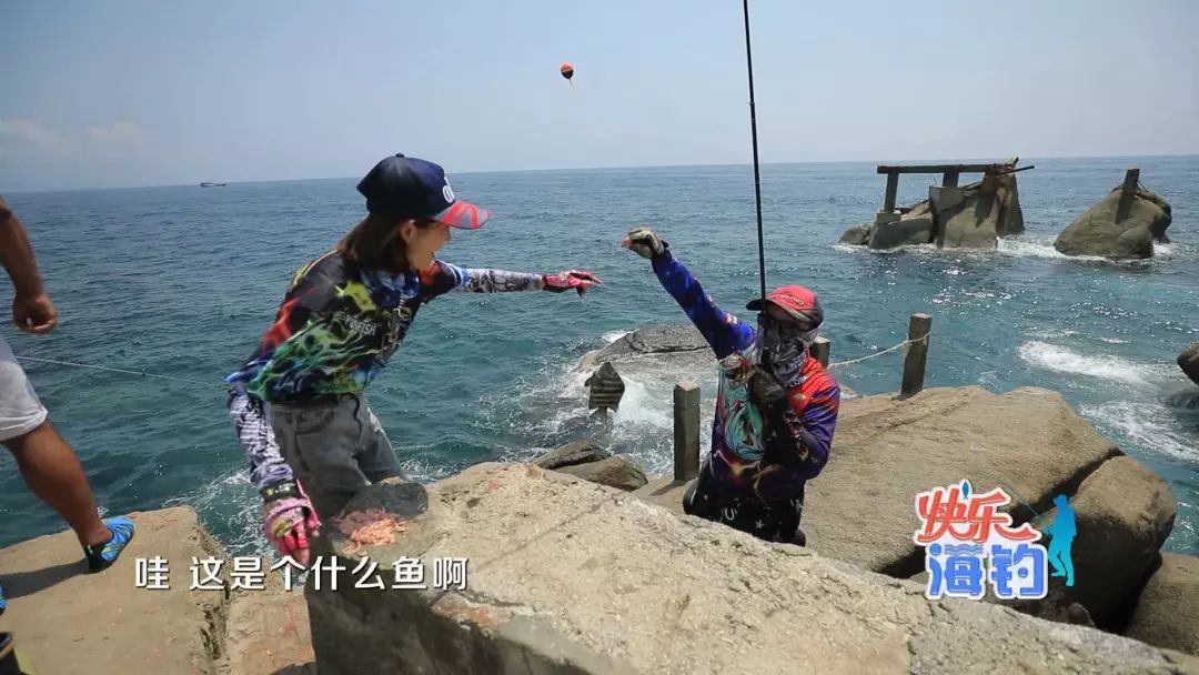 三沙市海钓(三沙钓鱼能钓到啥)