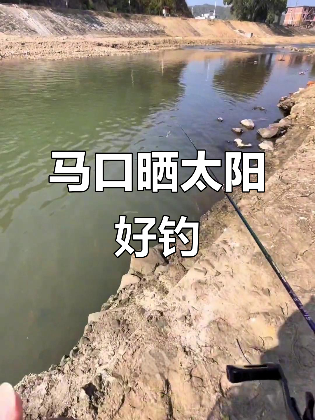 打马口技巧(野钓马口怎么打窝) 打马口技巧(野钓马口怎么打窝)