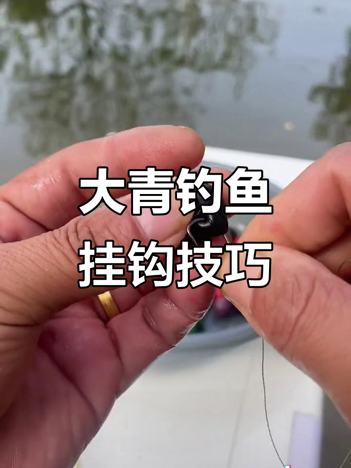 秋钓黑坑青鱼技巧(秋钓黑坑青鱼技巧视频)