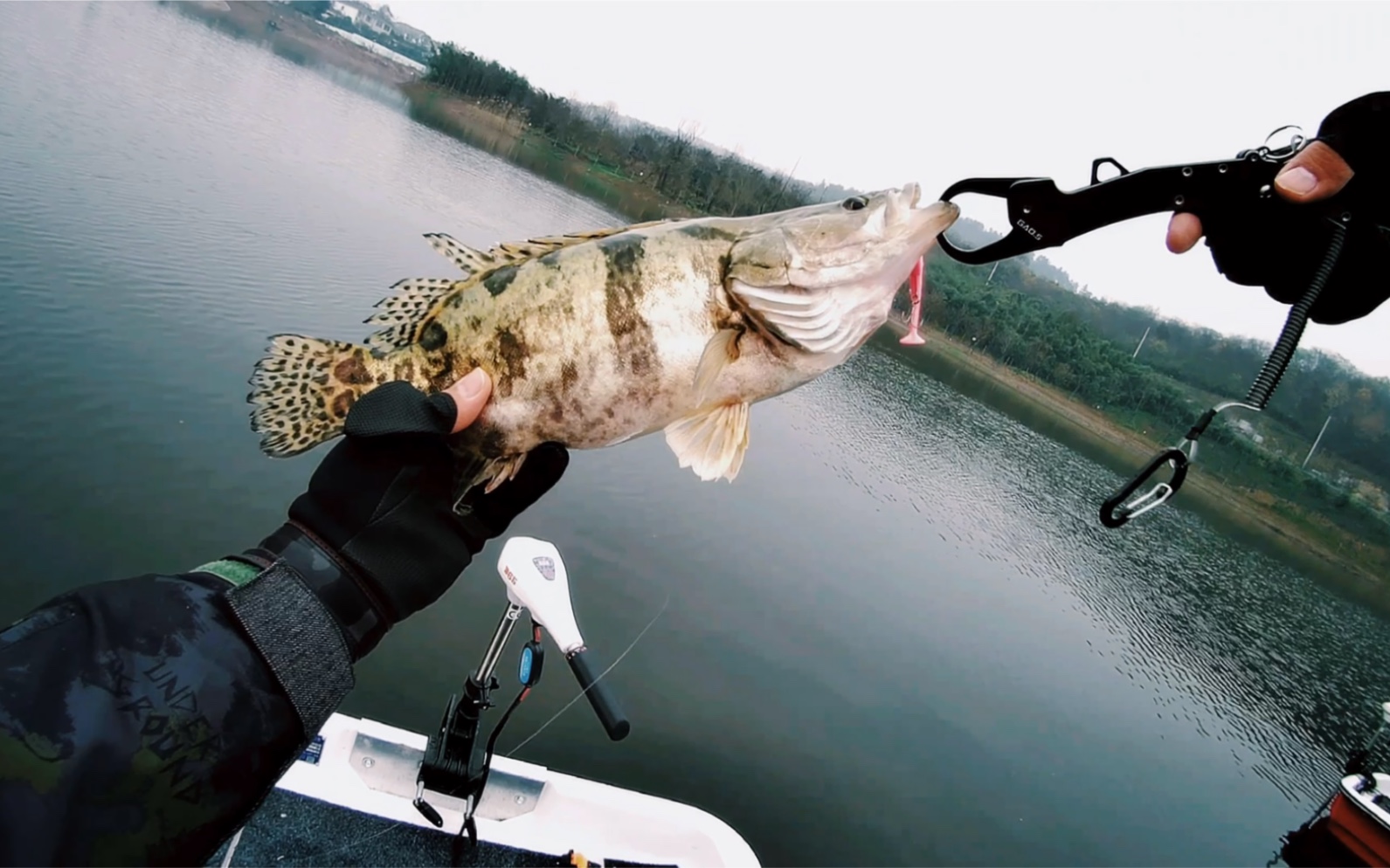 长兴路亚俱乐部(浙江路亚哪里最好)