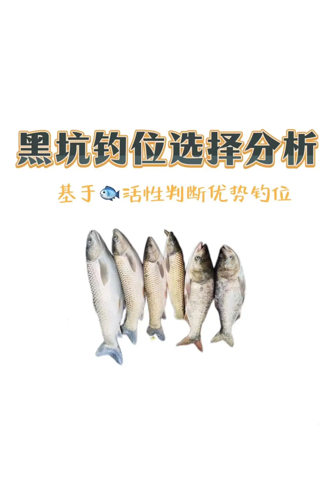 台钓黑鲷技巧大全(台钓黑鲷技巧大全视频)