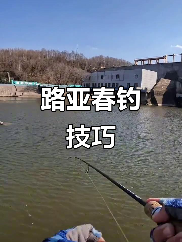 路亚场地选择(路亚一般选择什么地点)