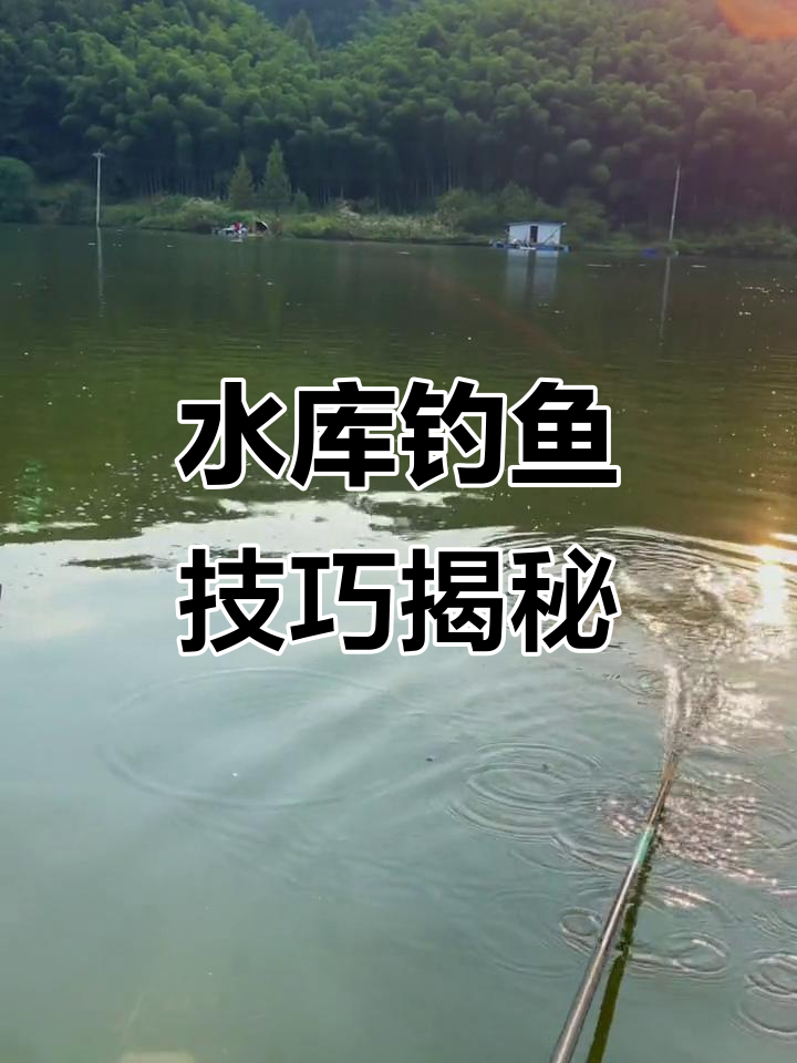 水库初秋钓鱼技巧(秋季水库钓鱼怎么选择钓位)