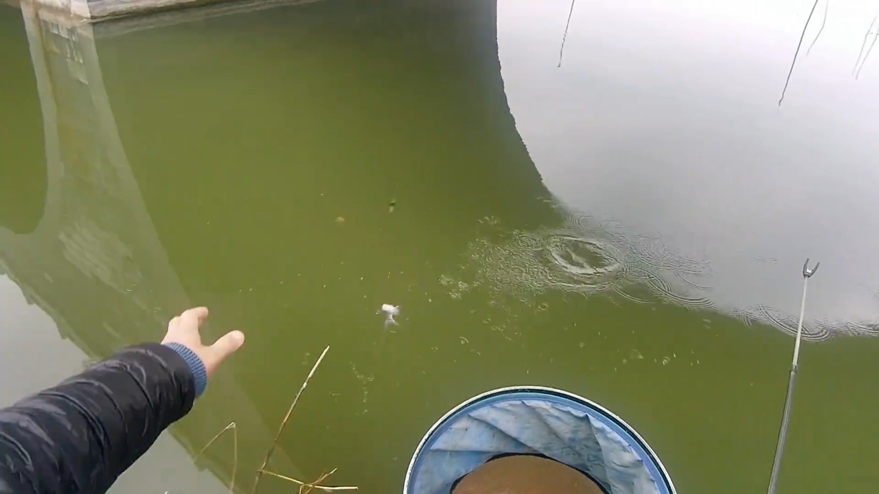 九江路亚场(九江市路亚标点)