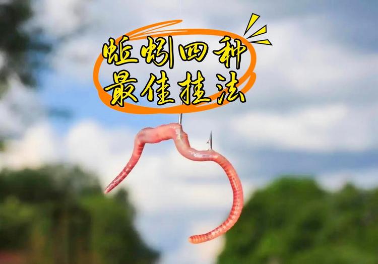 挖蚯蚓技巧(挖蚯蚓能不能赚钱)