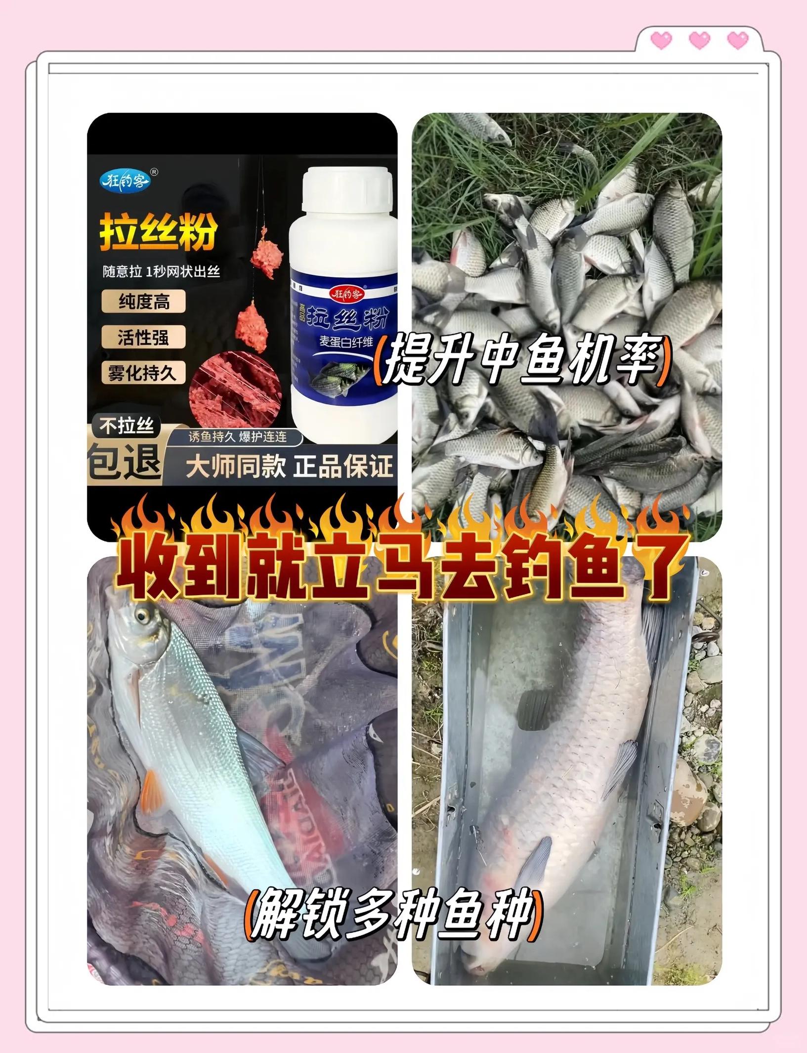 饵料成型不散(饵料成型不散怎么办)