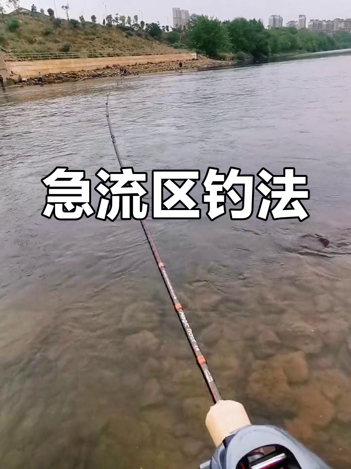 青岛海钓拉流技巧视频的简单介绍
