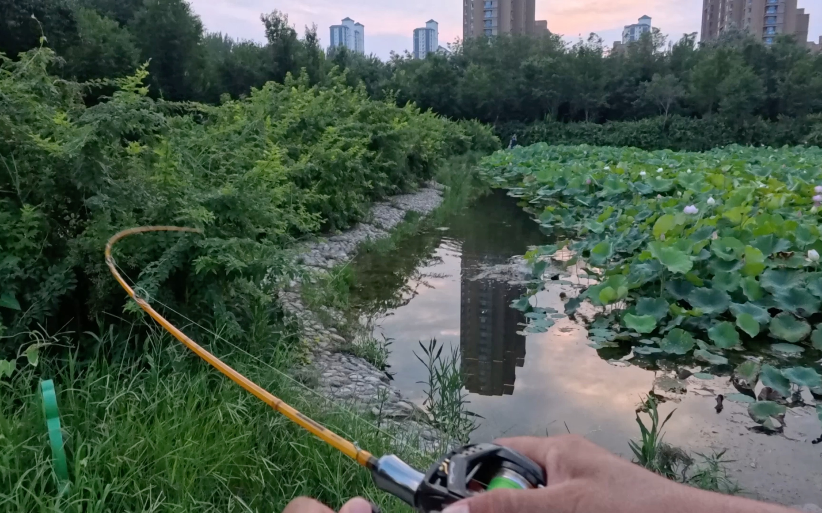 易水湖路亚钓鱼(易水湖钓点介绍2020) 易水湖路亚钓鱼(易水湖钓点介绍2020)