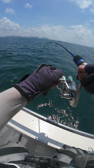 海上可以路亚吗(海上钓鱼可以用路亚吗?)