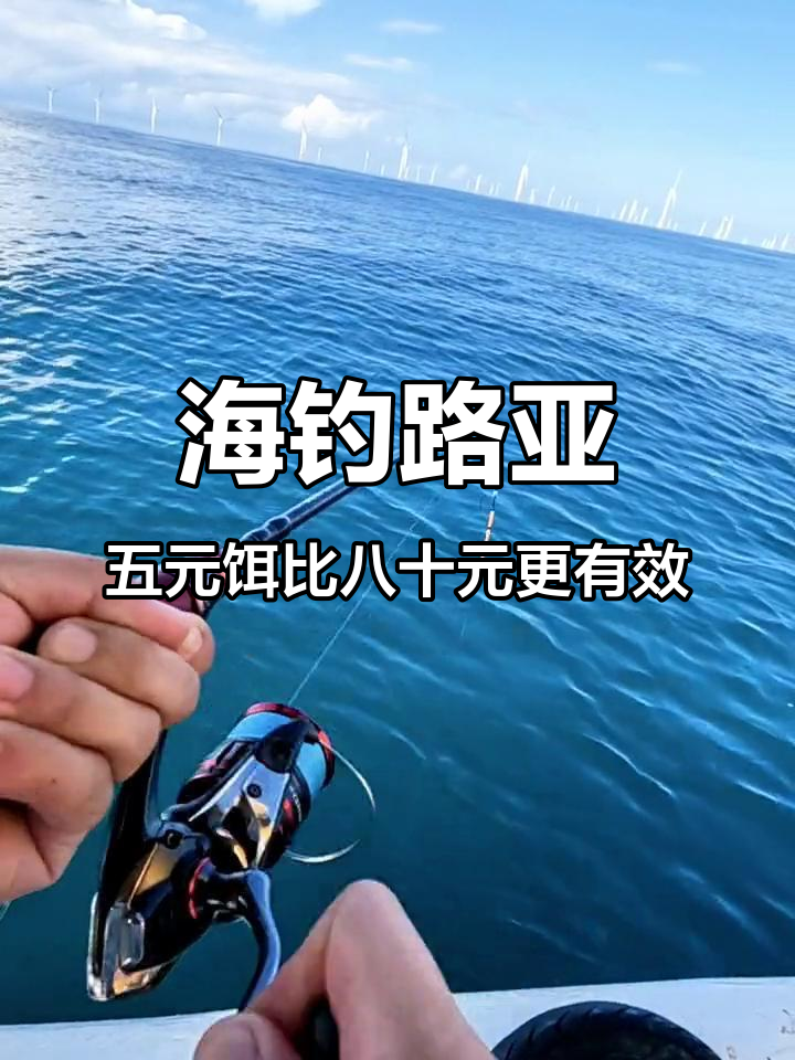 海上可以路亚吗(海上钓鱼可以用路亚吗?)