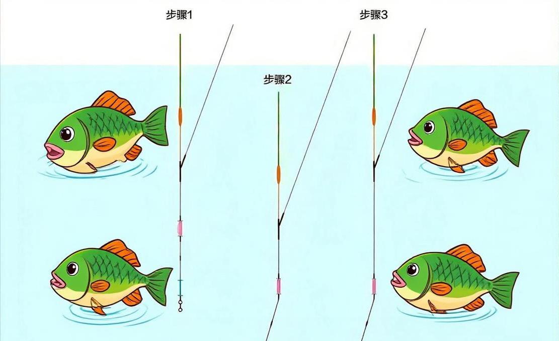钓鱼技巧双铅钓(双铅钓法实战视频) 钓鱼技巧双铅钓(双铅钓法实战视频)