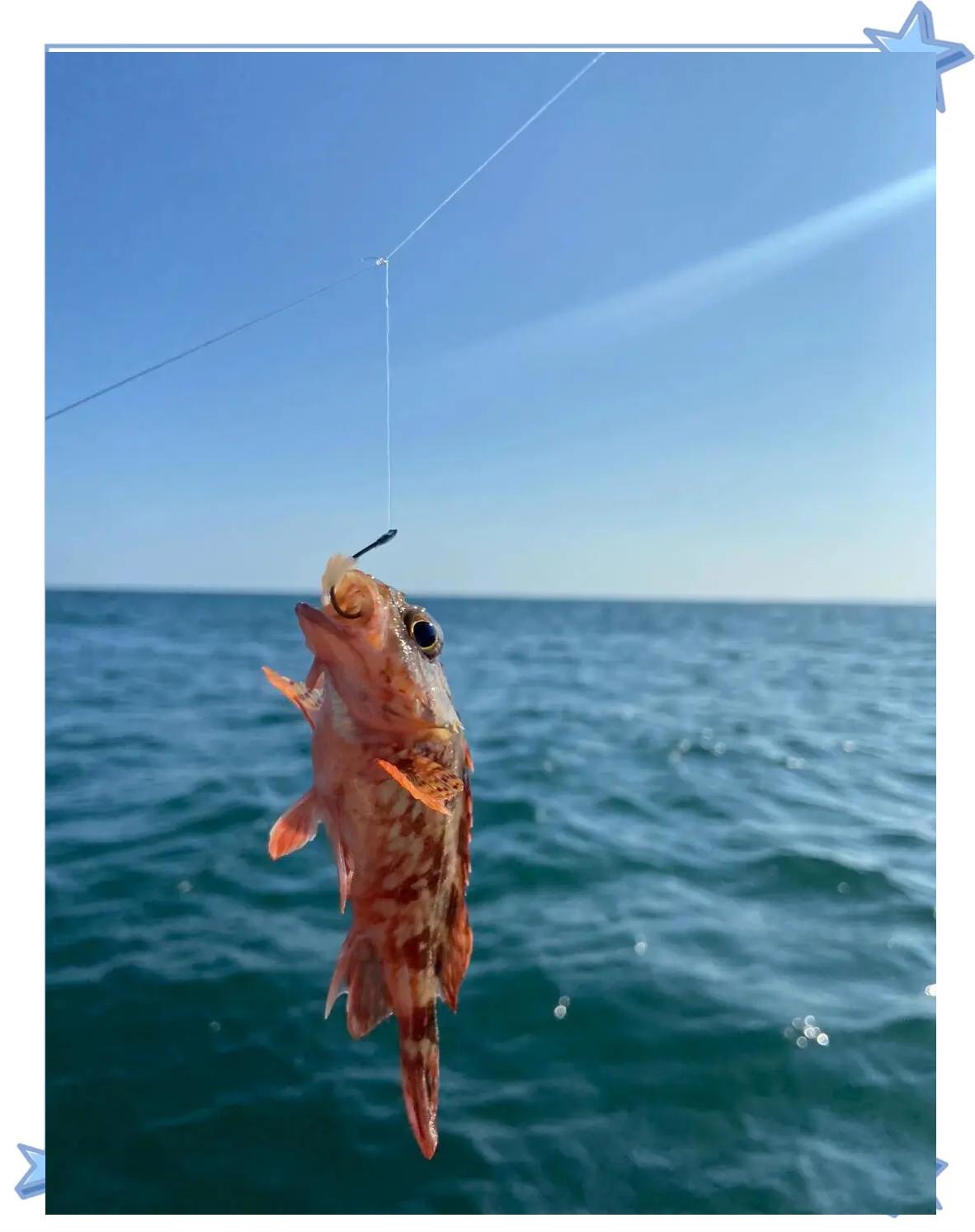 深圳南澳海钓视频(深圳南澳钓鱼怎么收费标准)