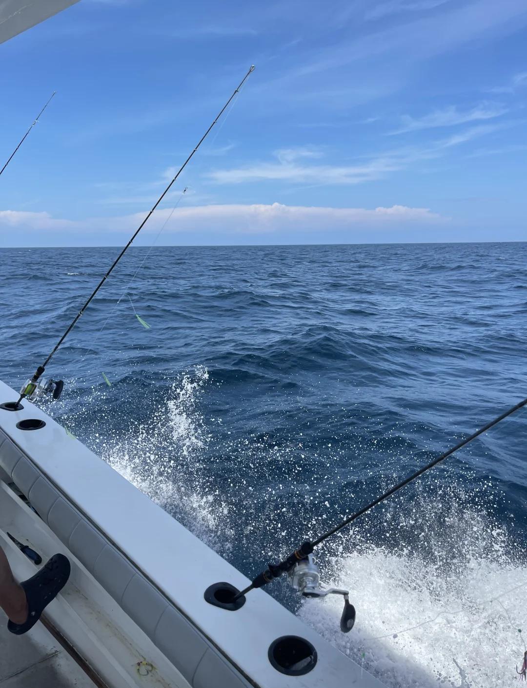 海钓教程视频教程(海钓入门基本知识视频) 海钓教程视频教程(海钓入门基本知识视频)