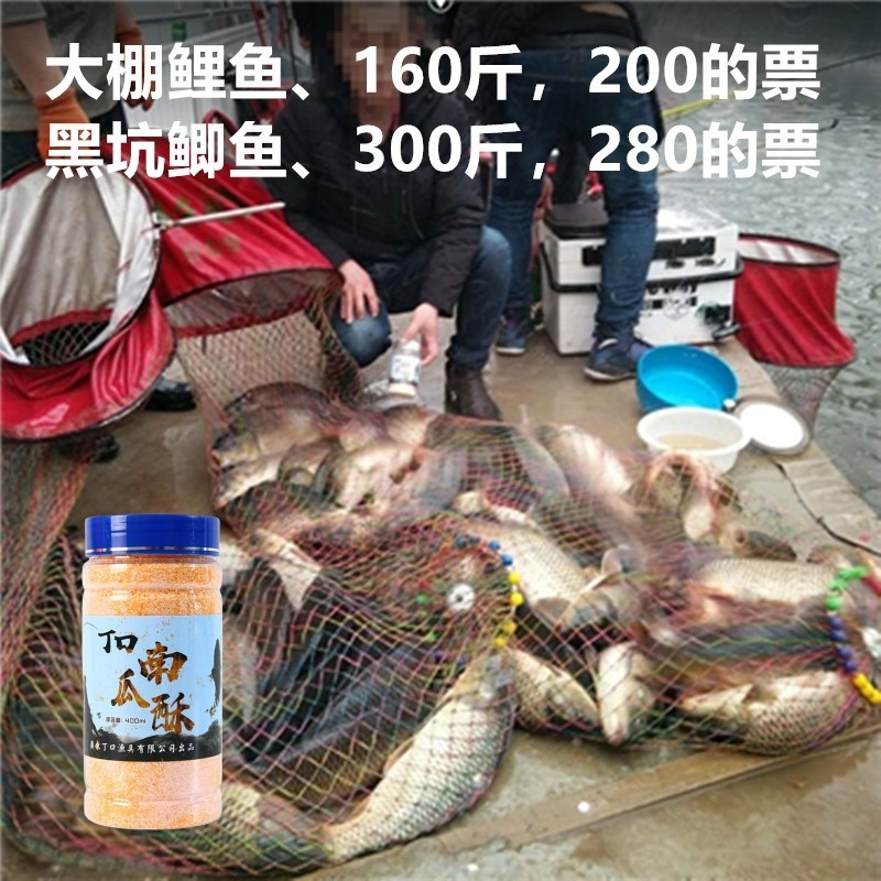 冬天黑坑鲤鱼偷驴技巧(初冬黑坑偷驴钓鲤鱼怎样打窝)