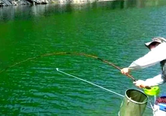 遛鱼的正确方法与技巧(遛鱼的正确方法与技巧图片) 遛鱼的正确方法与技巧(遛鱼的正确方法与技巧图片)